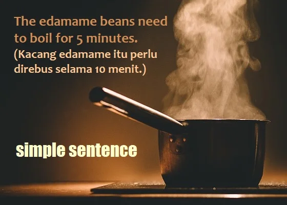 Detail Simple Sentence Contoh Nomer 20