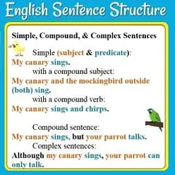 Detail Simple Sentence Contoh Nomer 31