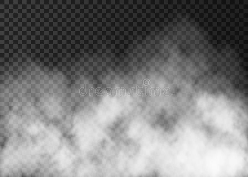 Detail Smoke Effect Transparent Nomer 29