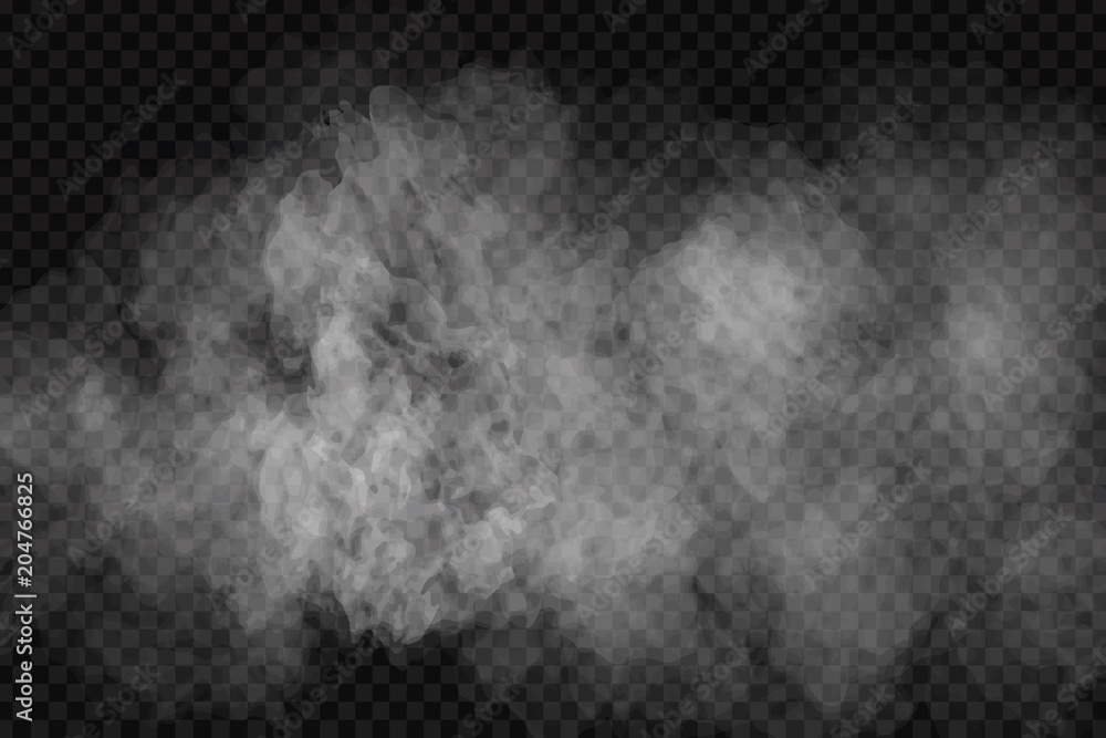 Detail Smoke Effect Transparent Nomer 10