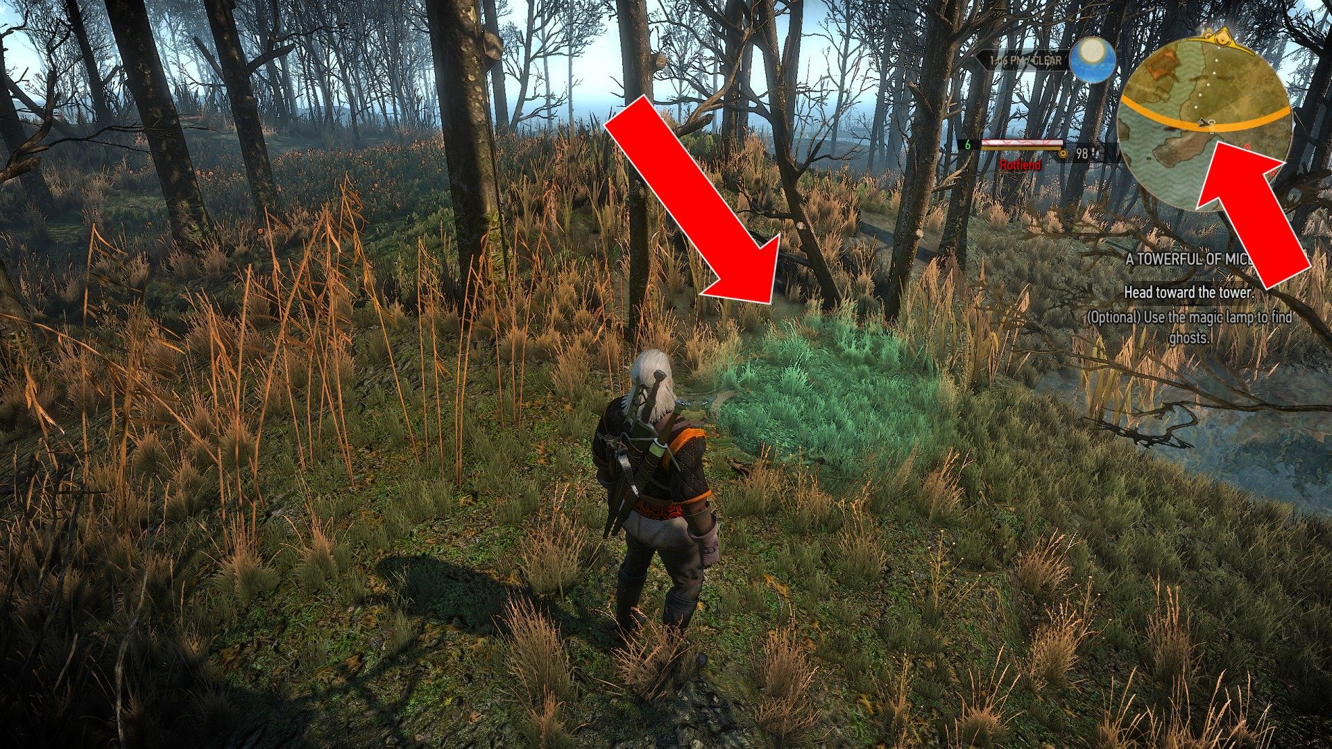 Detail The Witcher 3 How To Use Magic Lamp Nomer 4