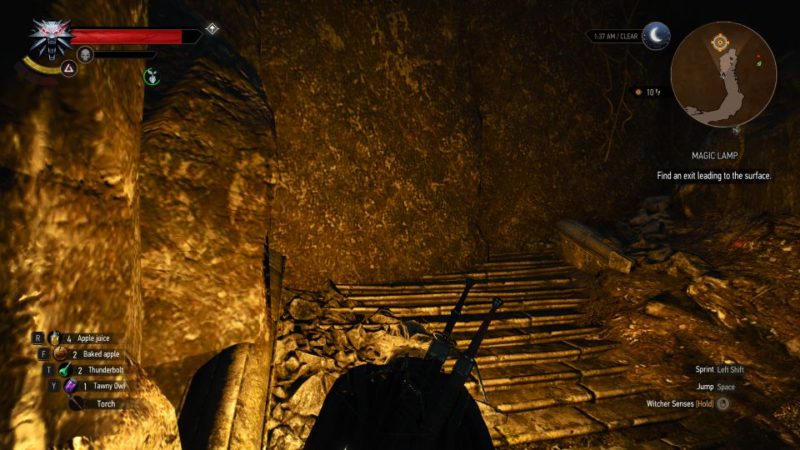 Detail The Witcher 3 How To Use Magic Lamp Nomer 45