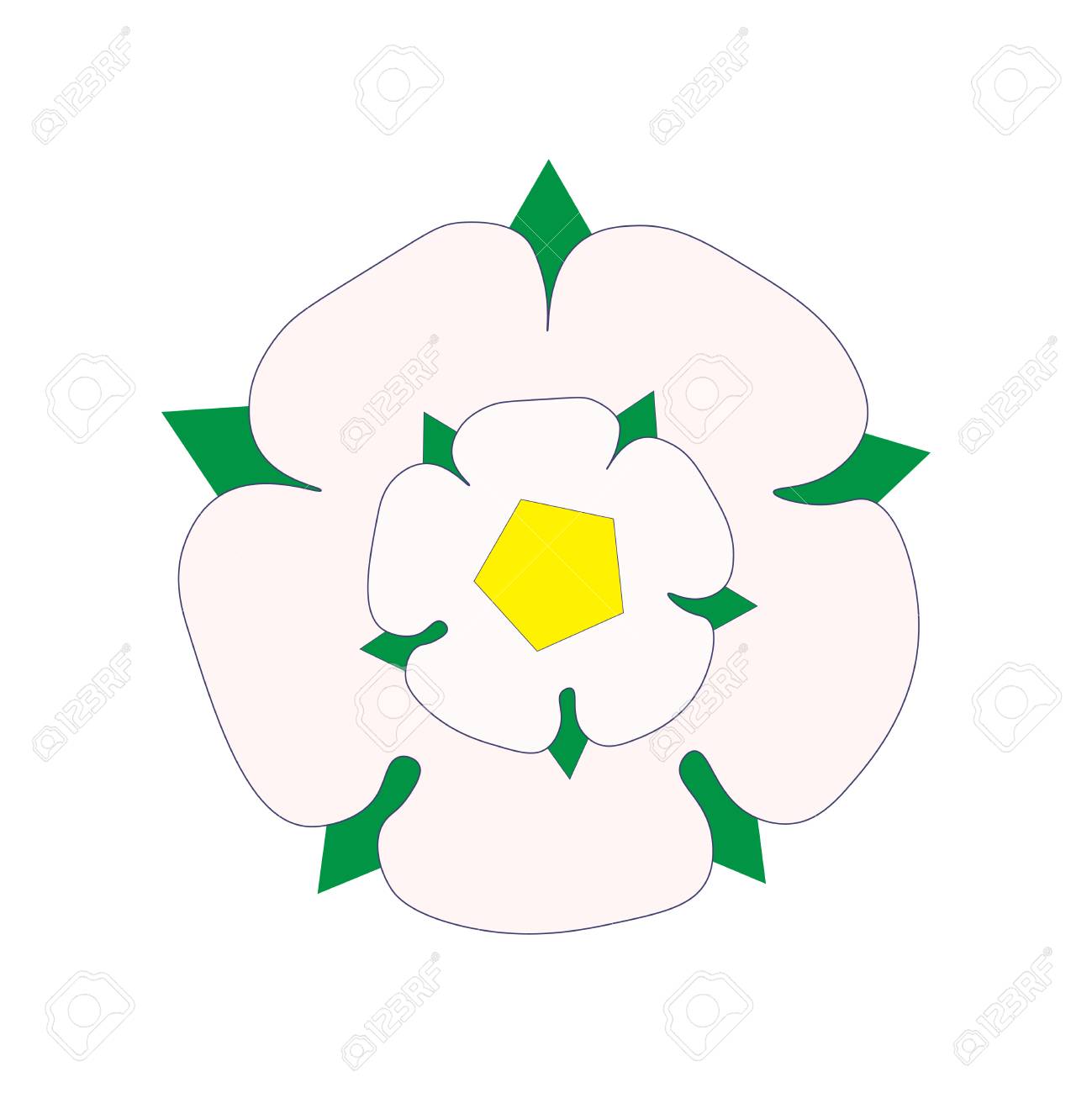 Detail White Rose Of York Nomer 15