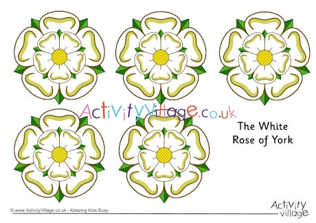 Detail White Rose Of York Nomer 37