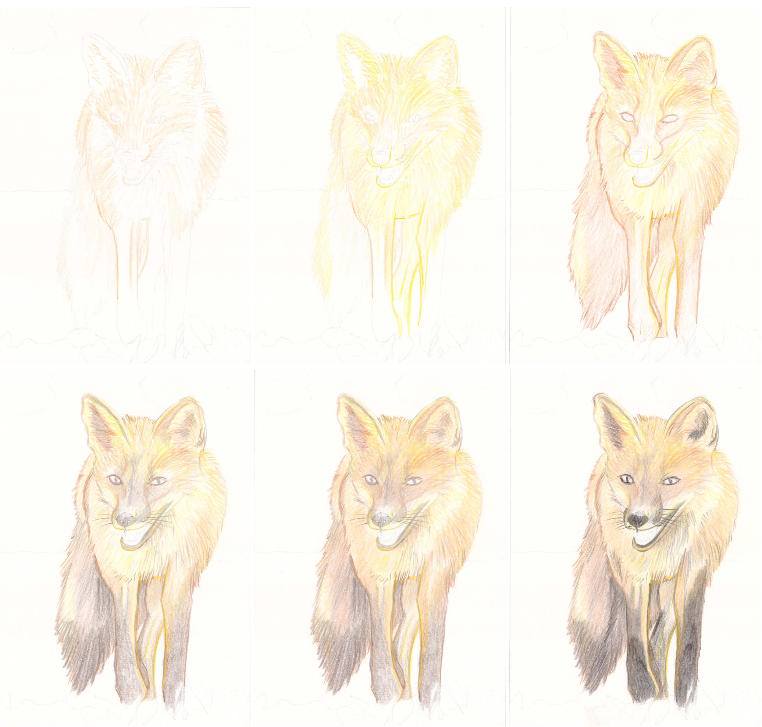 Detail Wolf Bilder Zeichnen Nomer 25