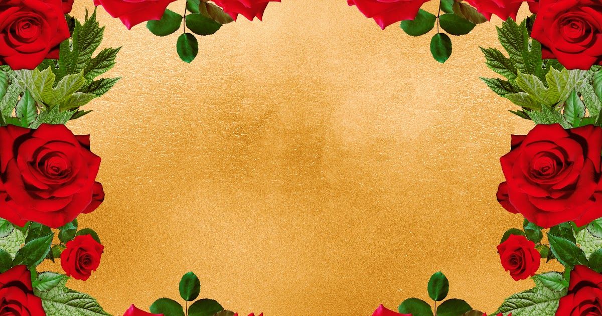 Detail Bingkai Bunga Mawar Merah Nomer 3