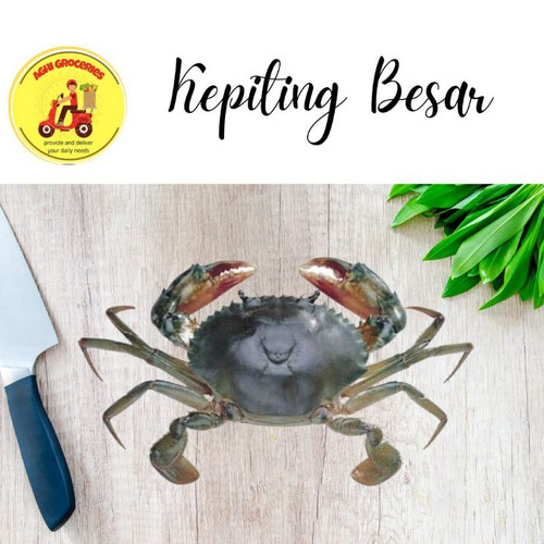 Detail Foto Kepiting Besar Nomer 41