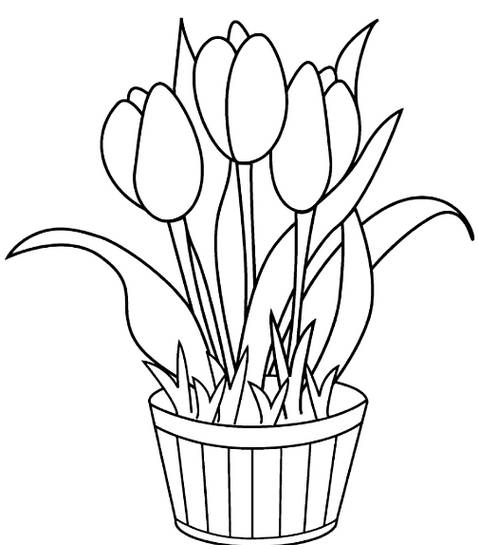 Detail Gambar Vas Bunga Untuk Mewarnai Nomer 21