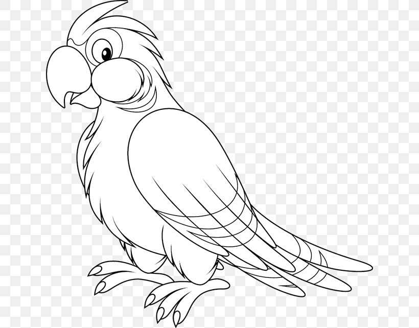 Detail Parrot Black And White Clipart Nomer 2