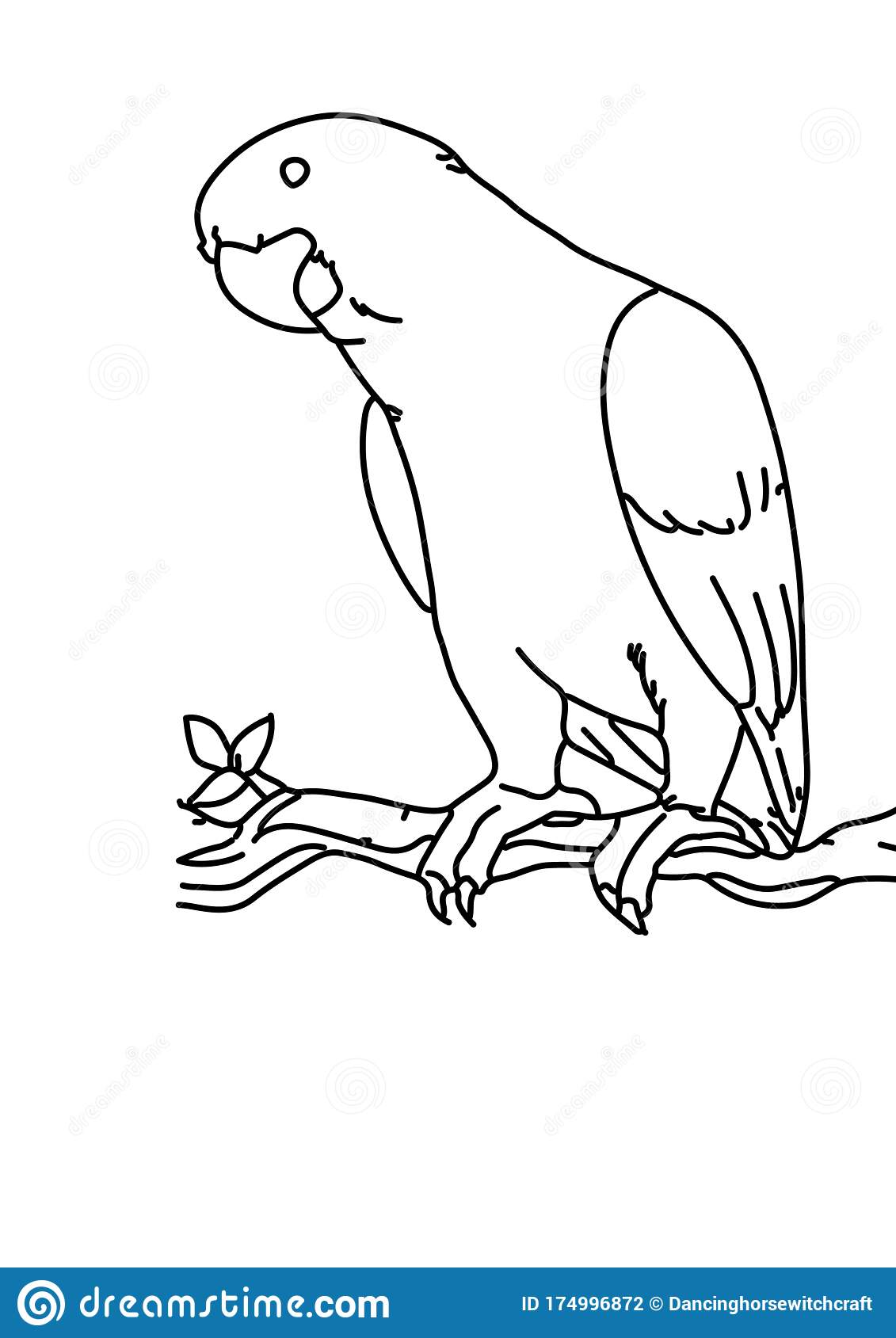 Detail Parrot Black And White Clipart Nomer 11