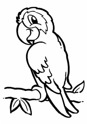 Detail Parrot Black And White Clipart Nomer 16