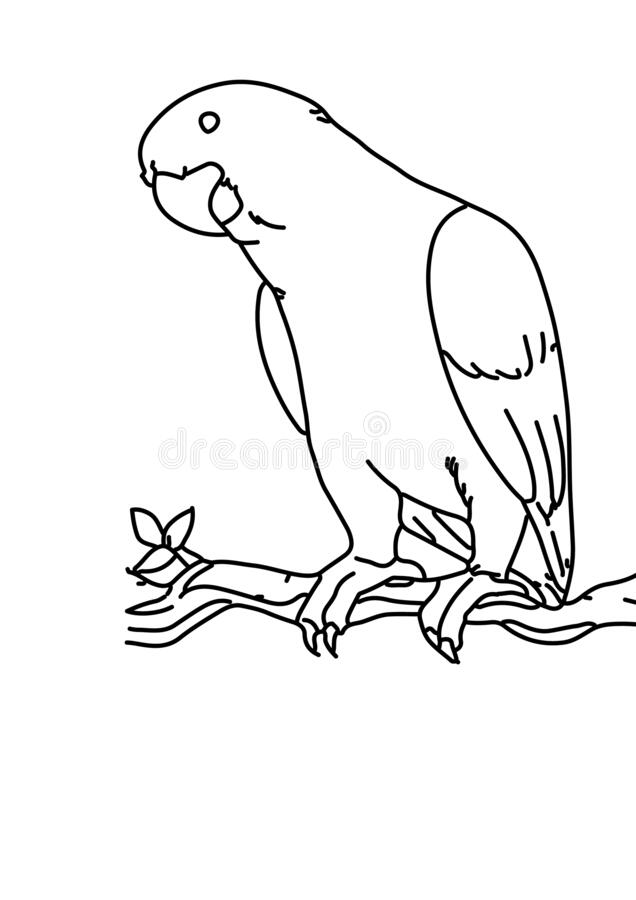 Detail Parrot Black And White Clipart Nomer 19