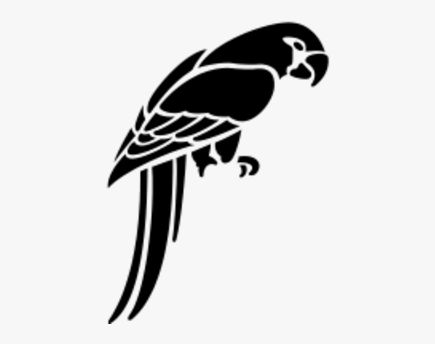 Detail Parrot Black And White Clipart Nomer 21