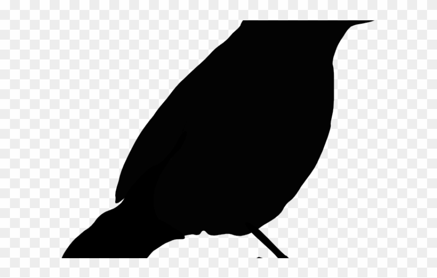 Detail Parrot Black And White Clipart Nomer 38
