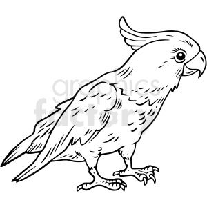 Detail Parrot Black And White Clipart Nomer 9