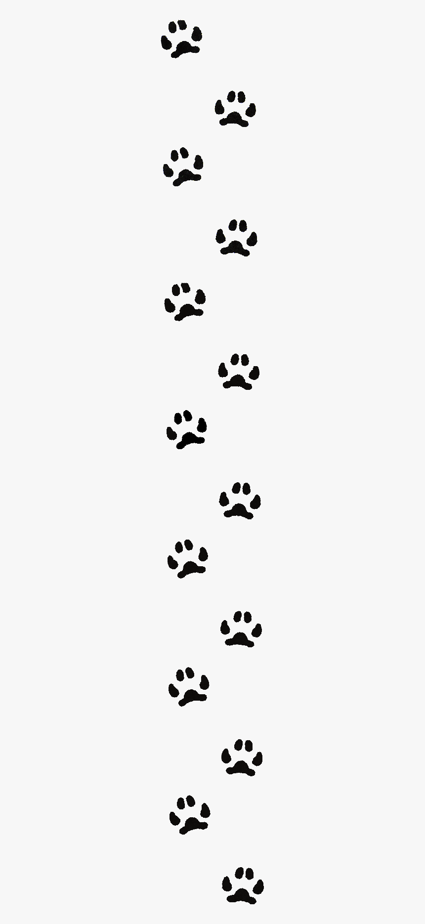 Detail Paw Print Border Png Nomer 15