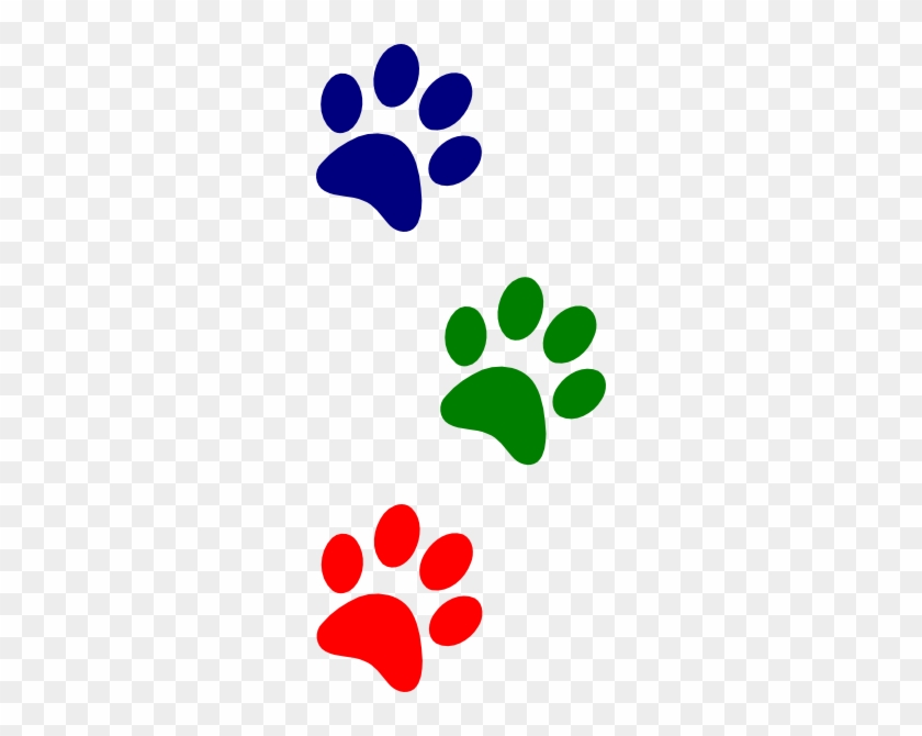 Detail Paw Print Border Png Nomer 32