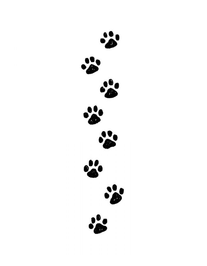 Detail Paw Print Border Png Nomer 37