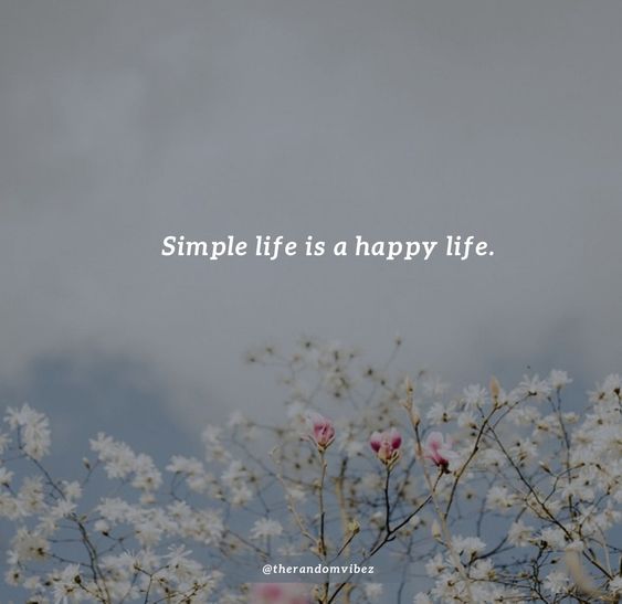Detail Simple Life Quotes For Instagram Nomer 4