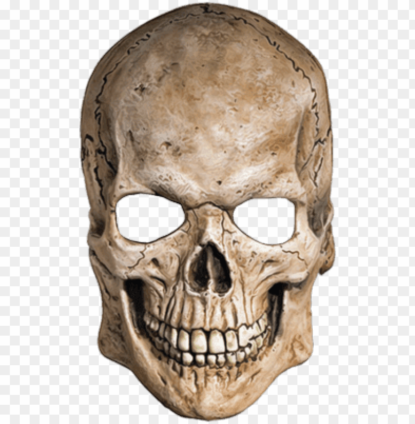 Detail Skull Png Images Nomer 5