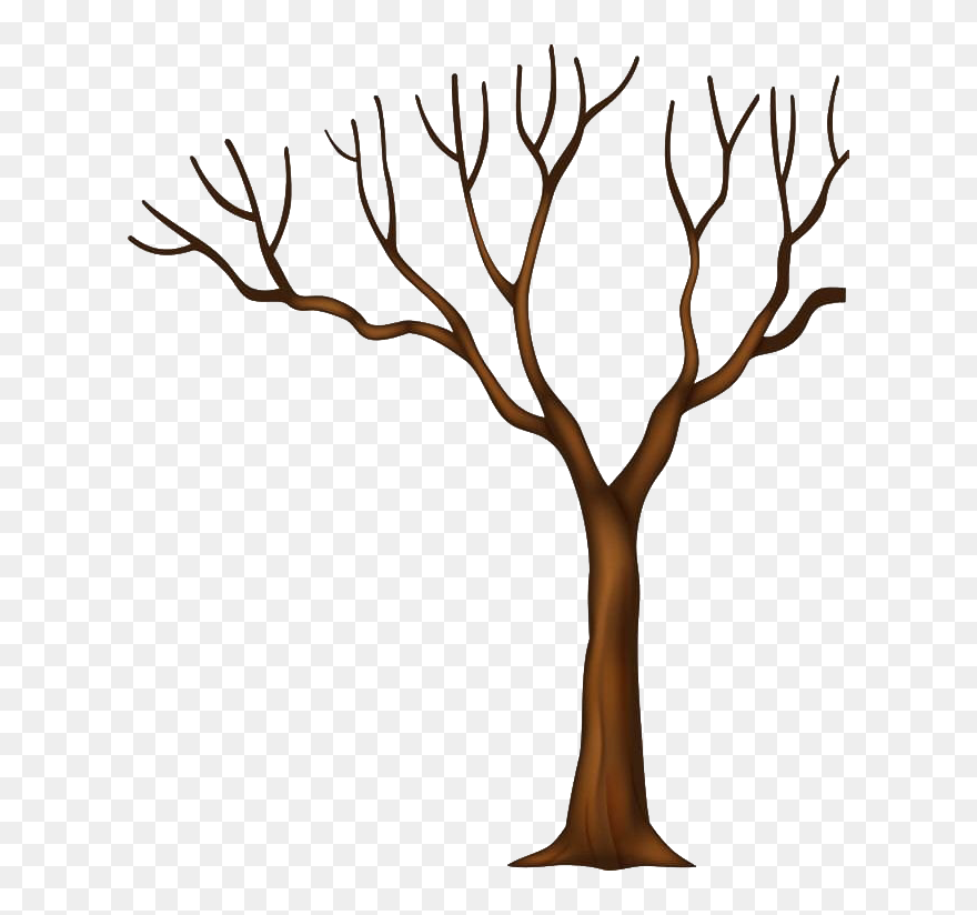 Detail Tree Trunk Clipart Nomer 11