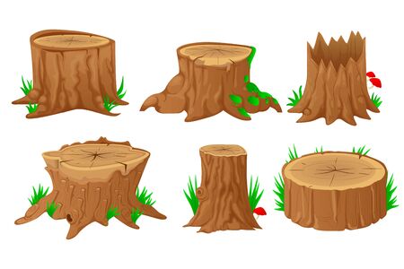 Detail Tree Trunk Clipart Nomer 23