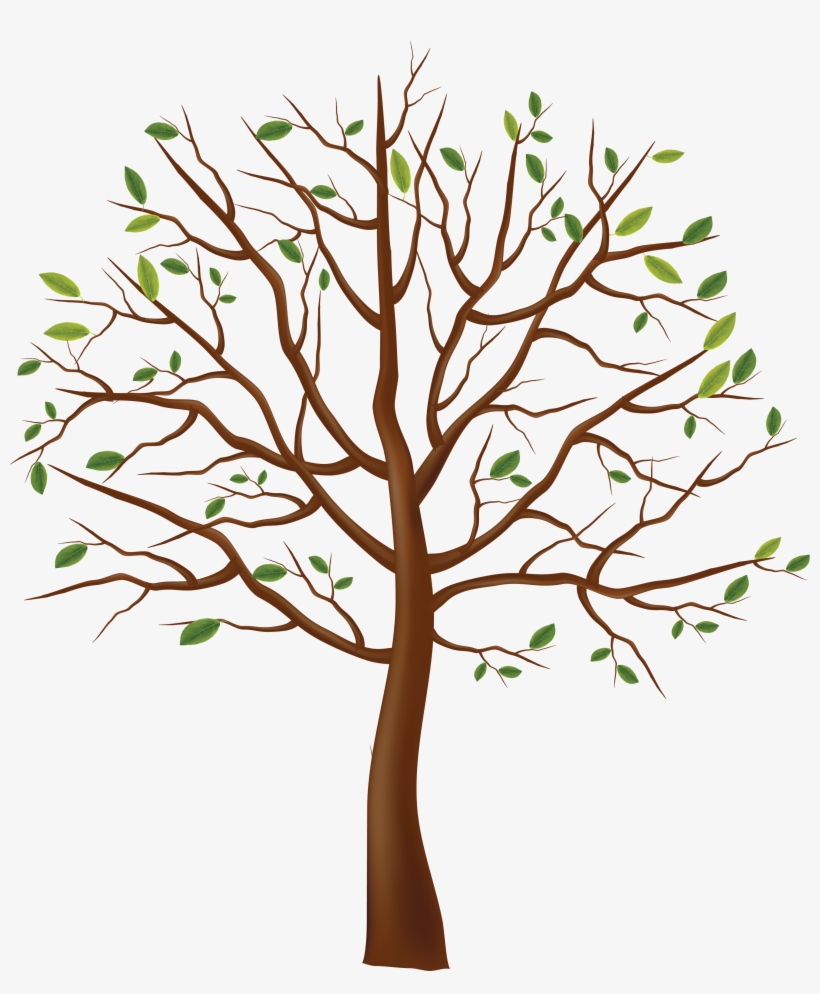 Detail Tree Trunk Clipart Nomer 31