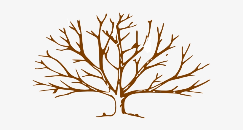 Detail Tree Trunk Clipart Nomer 34