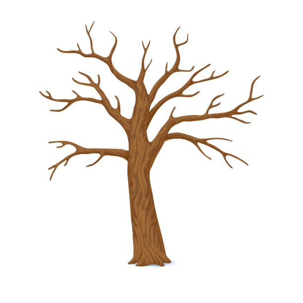 Detail Tree Trunk Clipart Nomer 37