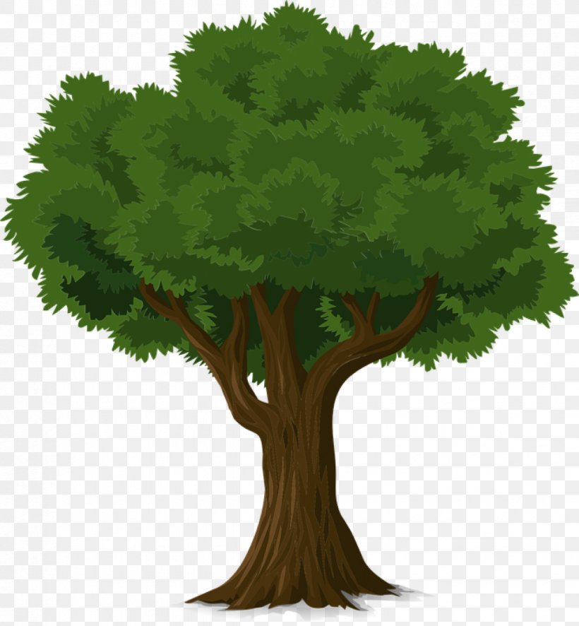 Detail Tree Trunk Clipart Nomer 39