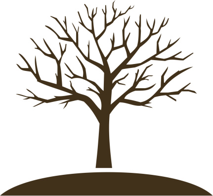 Detail Tree Trunk Clipart Nomer 42