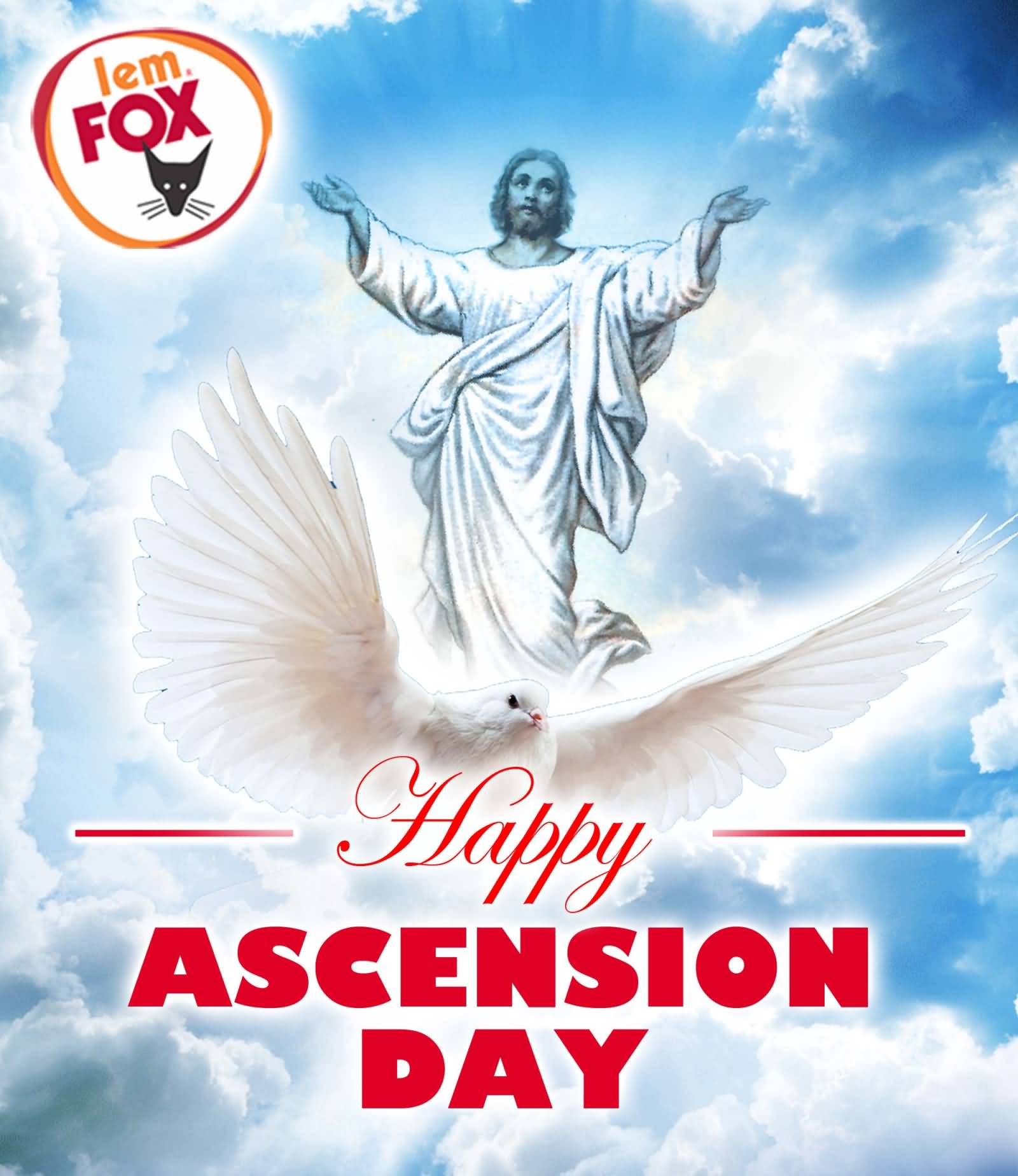 Detail Ascension Day Of Jesus Christ Quotes Nomer 20