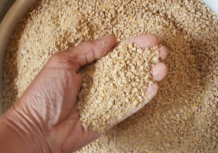 Detail Ayam Makan Apa Nomer 12