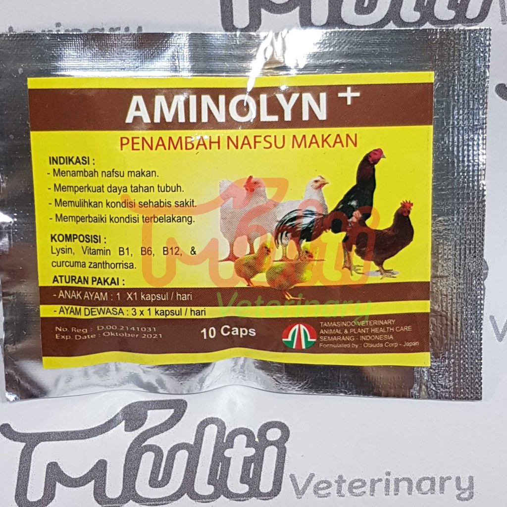 Detail Ayam Makan Apa Nomer 22