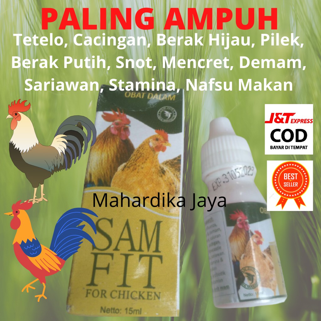 Detail Ayam Makan Apa Nomer 32