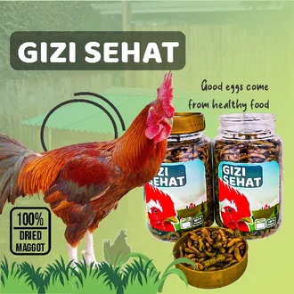 Detail Ayam Makan Apa Nomer 38