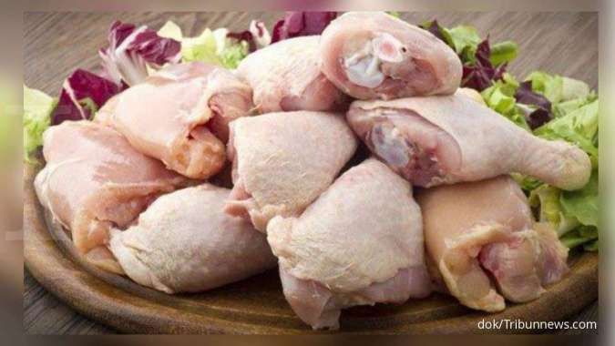 Detail Ayam Makan Apa Nomer 42