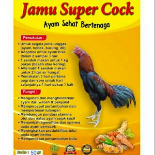 Detail Ayam Makan Apa Nomer 44