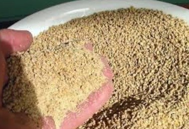 Detail Ayam Makan Apa Nomer 10