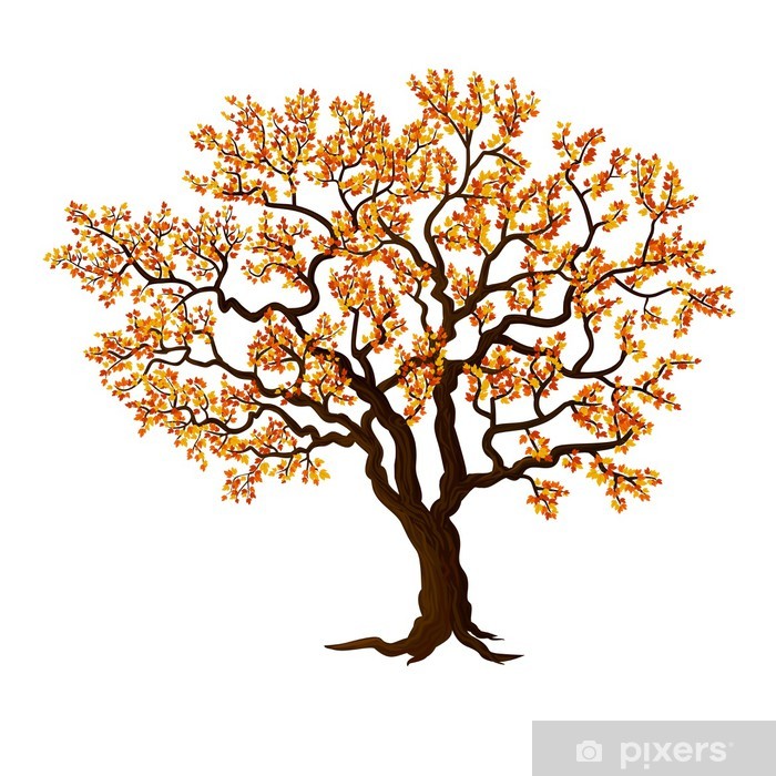 Detail Bilder Herbst Baum Nomer 2