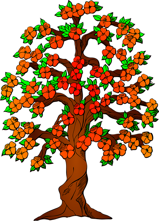 Detail Bilder Herbst Baum Nomer 11