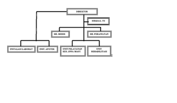 Detail Contoh Struktur Organisasi Rumah Sakit Tipe D Nomer 23