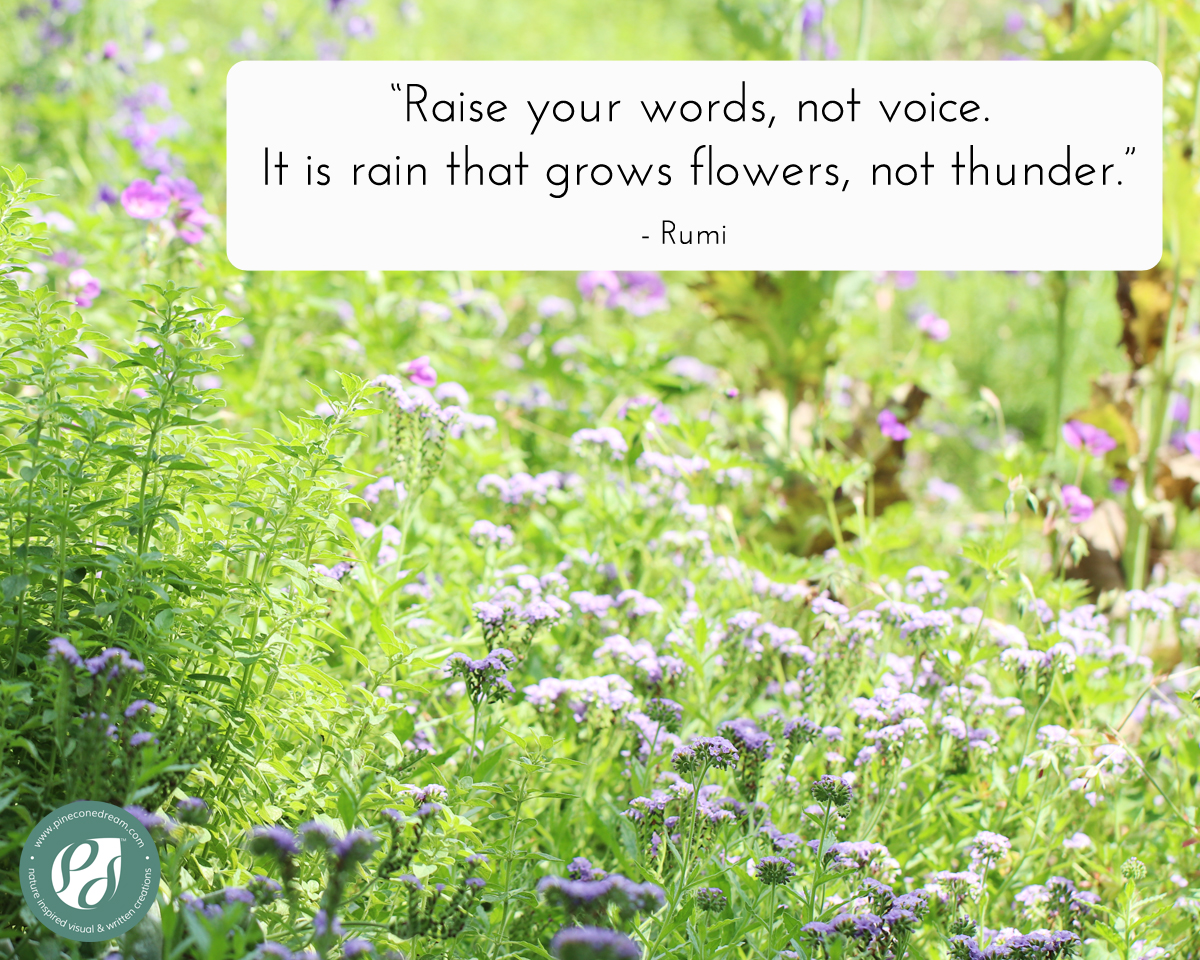 Download Flower Quotes Rumi Nomer 2