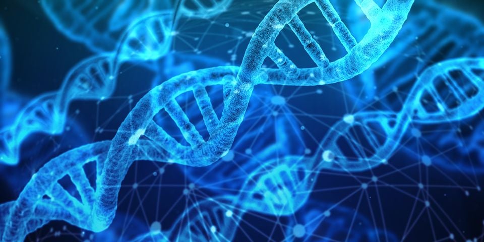 Free Dna Images - KibrisPDR