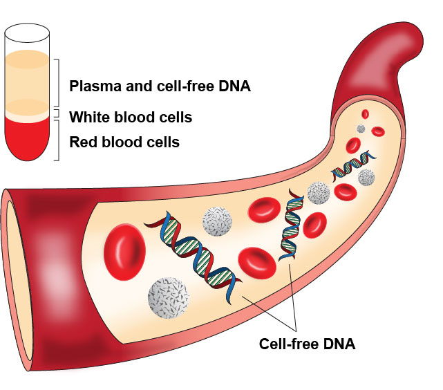 Detail Free Dna Images Nomer 30