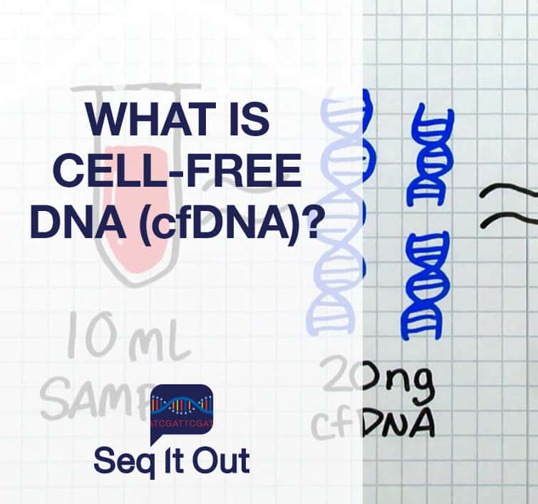 Detail Free Dna Images Nomer 33