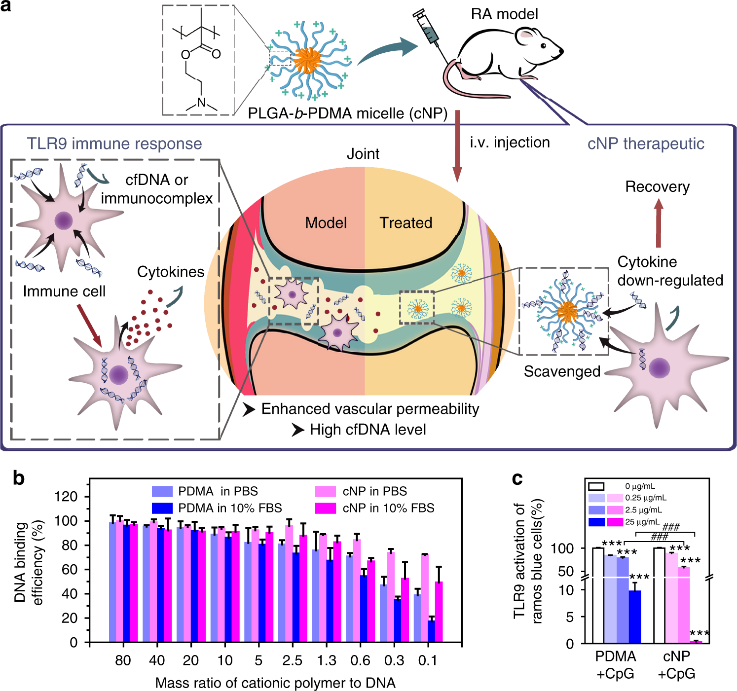 Detail Free Dna Images Nomer 46