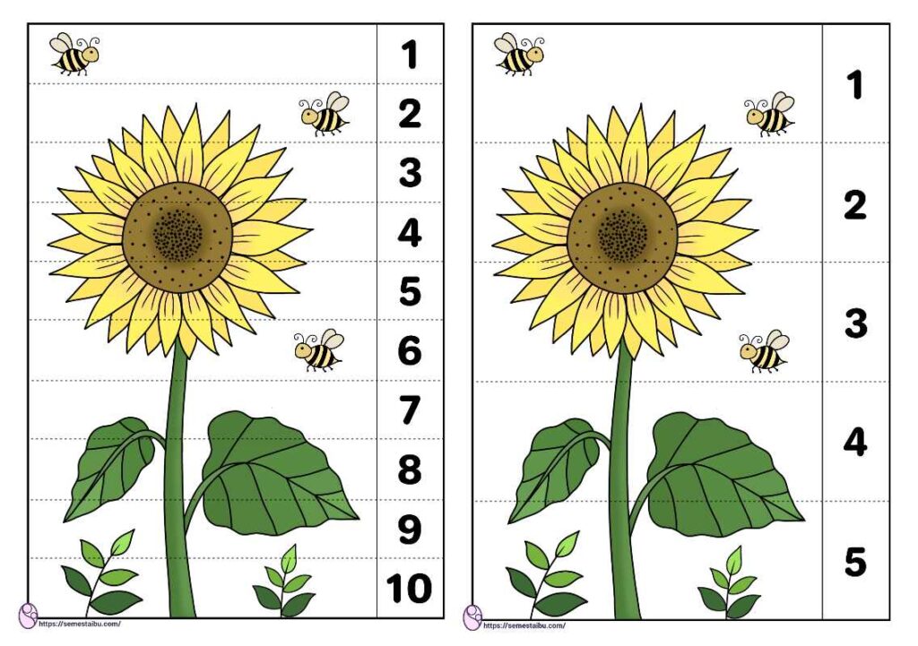 Detail Gambar Bunga Matahari Untuk Anak Tk Nomer 15
