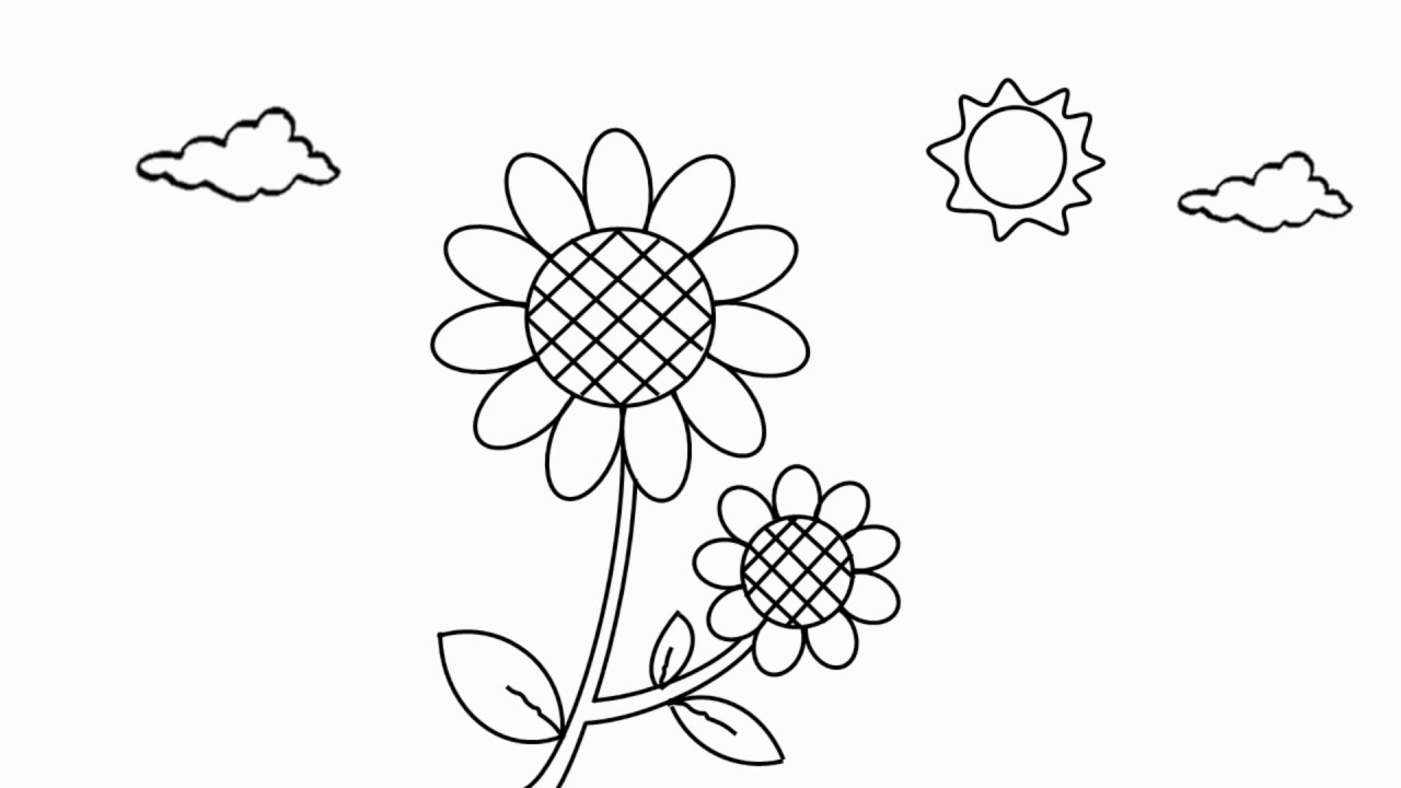 Detail Gambar Bunga Matahari Untuk Anak Tk Nomer 27