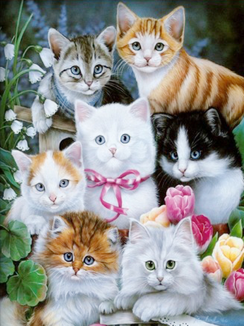 Detail Gambar Keluarga Kucing Nomer 4
